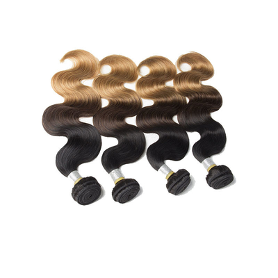 Vendeur de boucles de cheveux brésiliens à double trame 100% naturel avec couleur Ombre