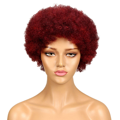 Cuticule de cheveux humains indiens crue alignée coupe de pantin Afro bouclée Perruques GS fournitures 250g-450g